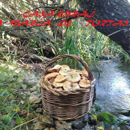 Hostal La María de Tortas Paterna del Madera Exterior foto